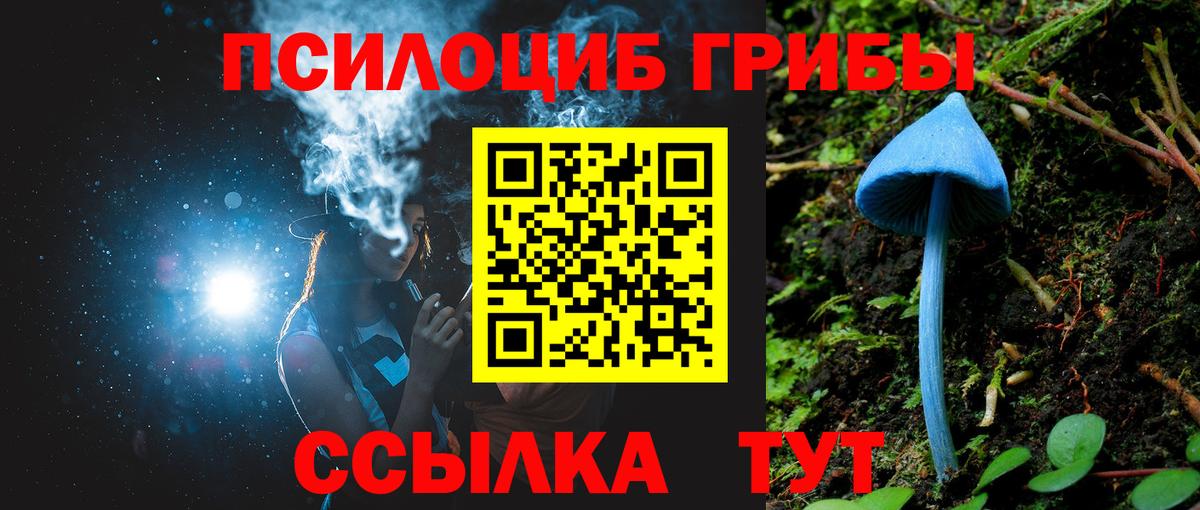 Псилоцибиновые грибы GOLDEN TEACHER Азнакаево
