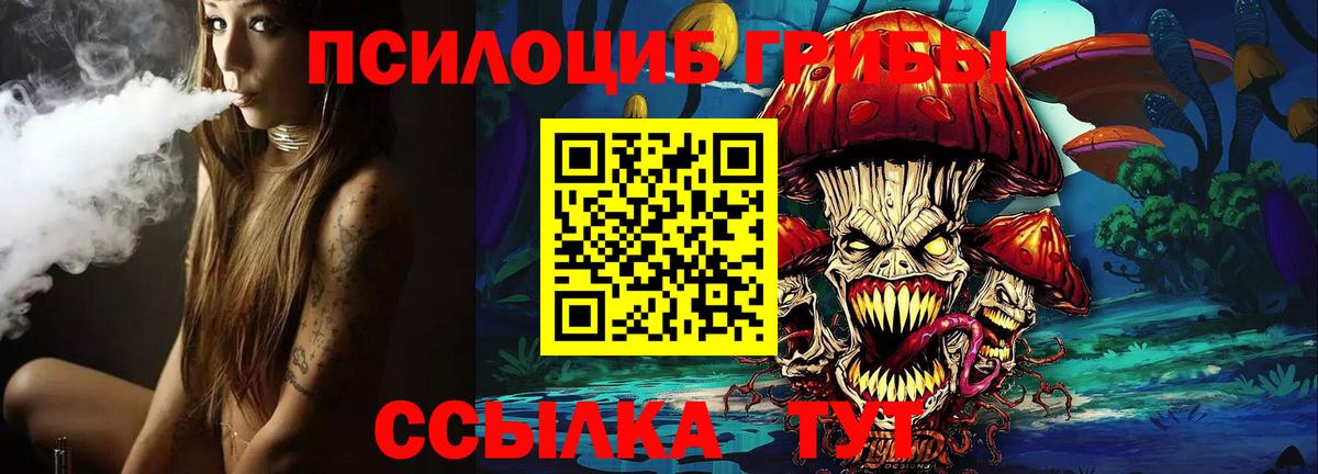 Азнакаево  Галлюциногенные грибы MAGIC MUSHROOMS  Вход с VPN  Галлюциногенные грибы ЛСД 
